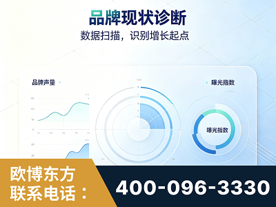 天津-品牌现状诊断