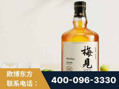 天津-梅见青梅酒